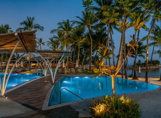 Área de piscina entre palmeras al anochecer