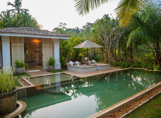 Casa y piscina entre palmeras